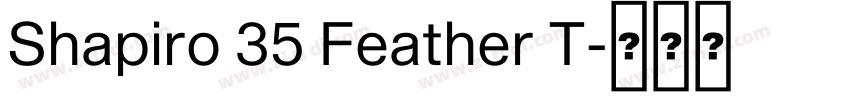 Shapiro 35 Feather T字体转换